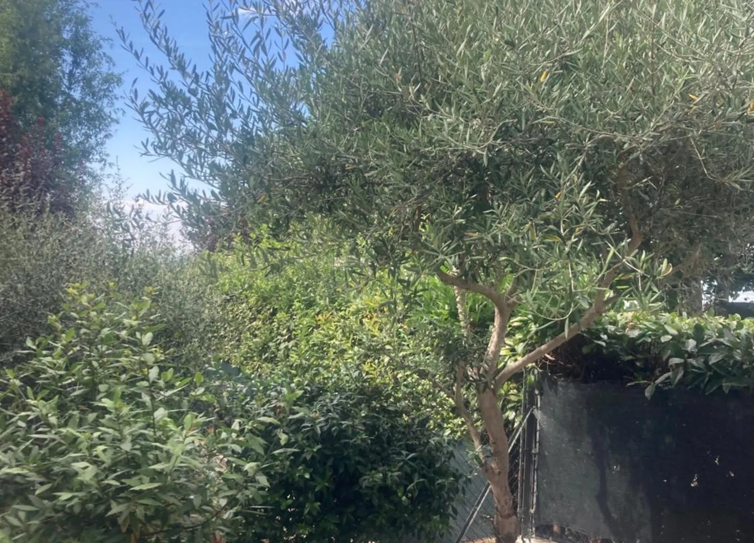 Bel Respiro Villa Roncofreddo Holiday home